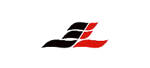飞龙家电集团有限公司Logo