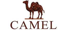 Camel骆驼logo,Camel骆驼标识