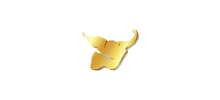 河南旅游集团有限公司Logo