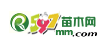 597苗木网Logo