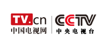 中国电视网logo,中国电视网标识