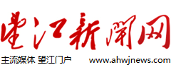 望江新闻网logo,望江新闻网标识