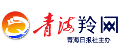 青海羚网logo,青海羚网标识