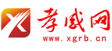 孝感网logo,孝感网标识