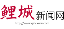 鲤城新闻网logo,鲤城新闻网标识