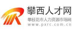 四川攀西人才网logo,四川攀西人才网标识