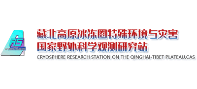 青海藏北高原冰冻圈特殊环境与灾害国家野外科学观测研究站logo,青海藏北高原冰冻圈特殊环境与灾害国家野外科学观测研究站标识