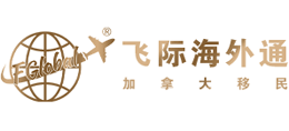 上海飞际因私出入境服务有限公司logo,上海飞际因私出入境服务有限公司标识
