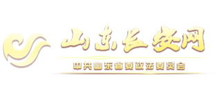 山东长安网logo,山东长安网标识