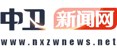 中卫新闻网logo,中卫新闻网标识